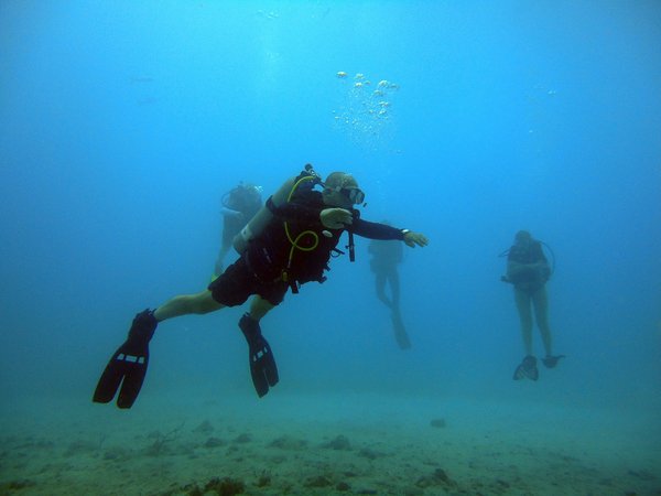 Quels sont les meilleurs spots pour une plongée sous-marine dans les îles Galápagos, Équateur ?